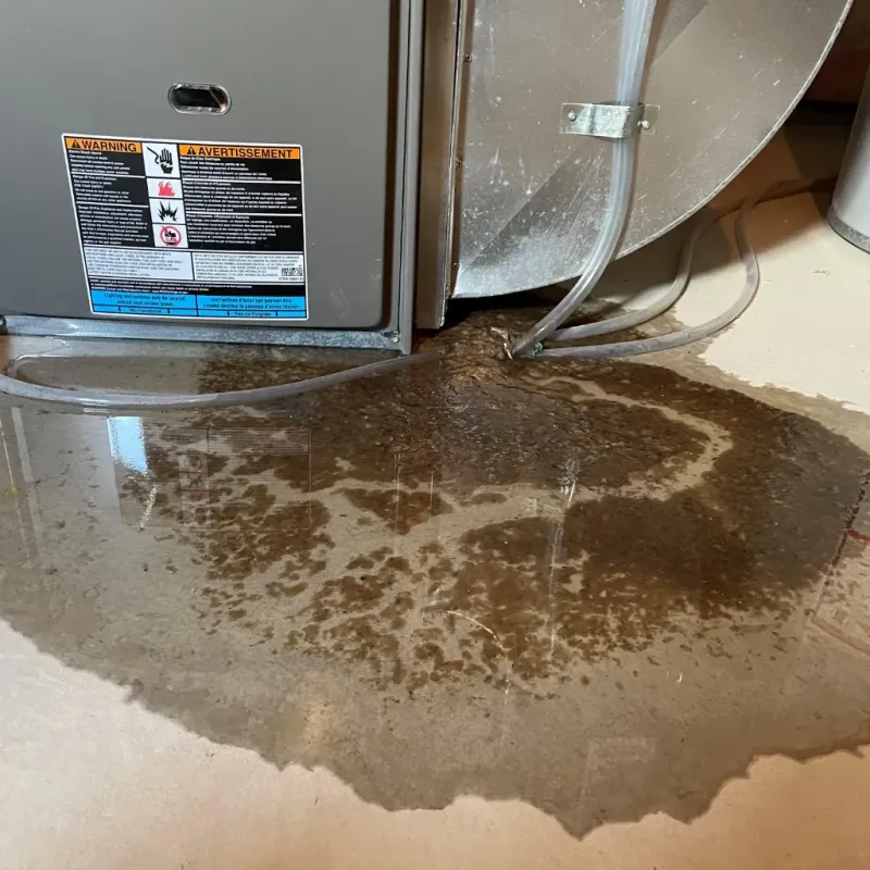 Appliance Leak Cleanup in Doffing, TX